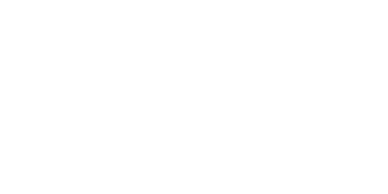 Web Sponsors 20268